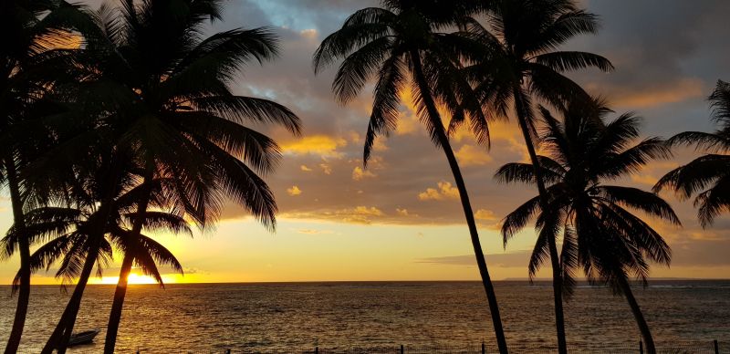 photo 15 Owner direct vacation rental Sainte Anne (Guadeloupe) appartement Grande Terre  View from the terrace