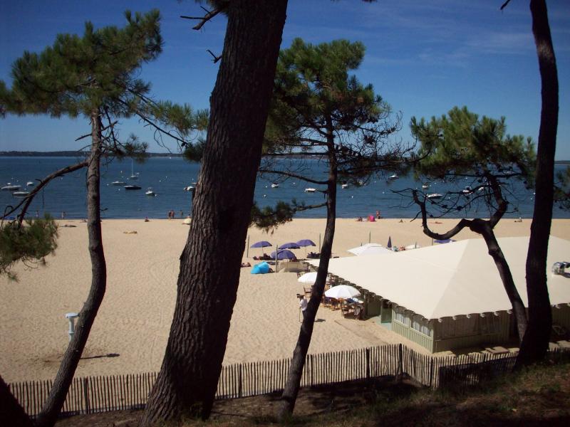photo 2 Owner direct vacation rental Arcachon appartement Aquitaine Gironde Surroundings