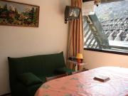 ski in/ski out vacation rentals: appartement # 80544