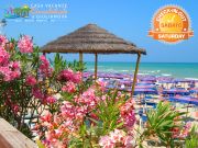 Teramo Province sea view vacation rentals: studio # 84257