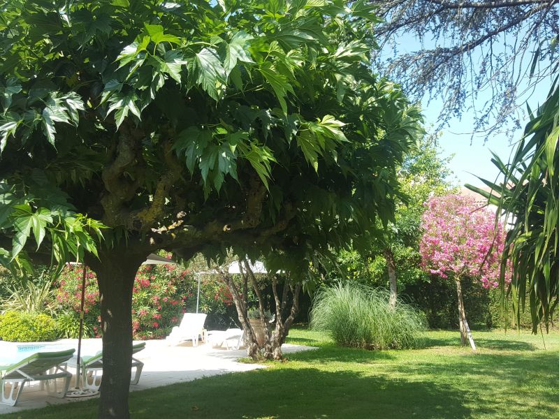 photo 4 Owner direct vacation rental Saint Tropez appartement Provence-Alpes-Cte d'Azur Var Garden