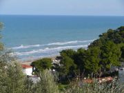 Gargano vacation rentals: appartement # 101780