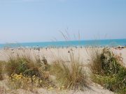 Castiglione Della Pescaia vacation rentals studio apartments: studio # 108463