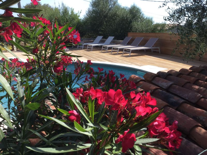 photo 3 Owner direct vacation rental Bonifacio maison Corsica Corse du Sud Swimming pool