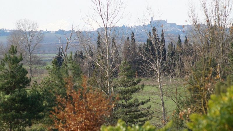 photo 14 Owner direct vacation rental Carcassonne gite Languedoc-Roussillon Aude View from the property
