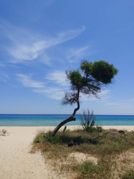 photo 13 Owner direct vacation rental Costa Rei villa Sardinia Cagliari Province Beach