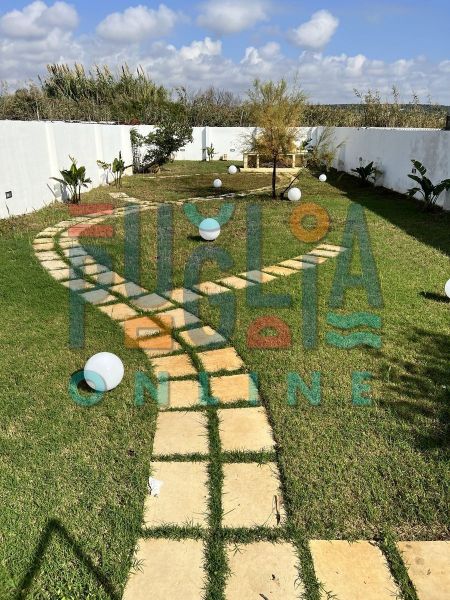 photo 25 Owner direct vacation rental Torre Mozza appartement Puglia Lecce Province Garden