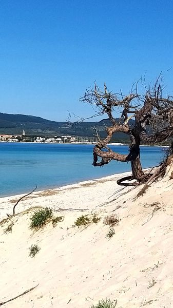 photo 22 Owner direct vacation rental Alghero appartement Sardinia Sassari Province Beach