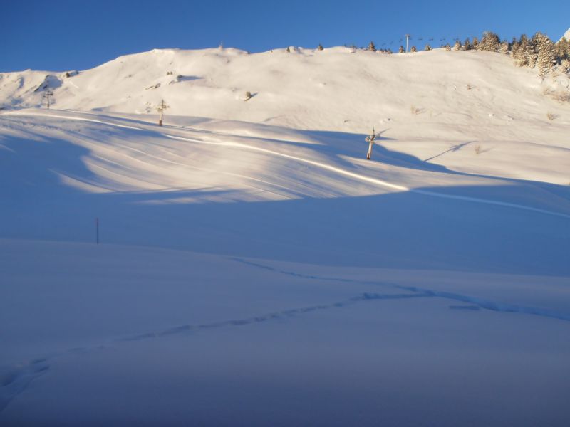 photo 28 Owner direct vacation rental Praz de Lys Sommand chalet Rhone-Alps Haute-Savoie View from the property