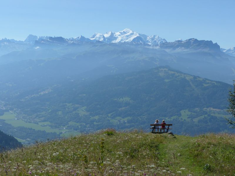 photo 29 Owner direct vacation rental Praz de Lys Sommand chalet Rhone-Alps Haute-Savoie Other view