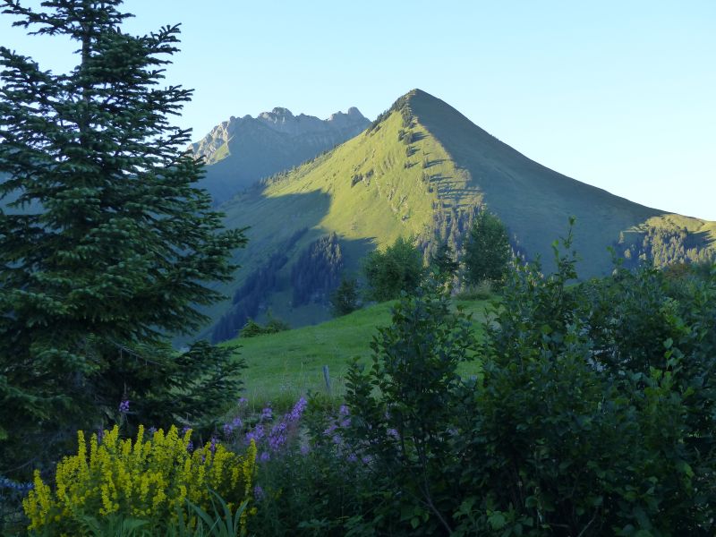 photo 12 Owner direct vacation rental Praz de Lys Sommand chalet Rhone-Alps Haute-Savoie View from the terrace