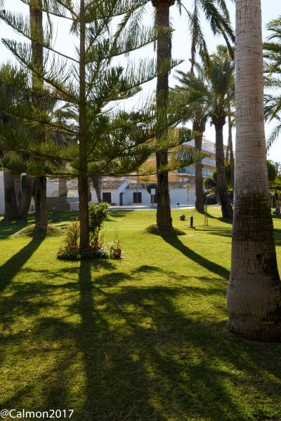 photo 4 Owner direct vacation rental Denia bungalow Valencian Community Alicante (province of) Garden