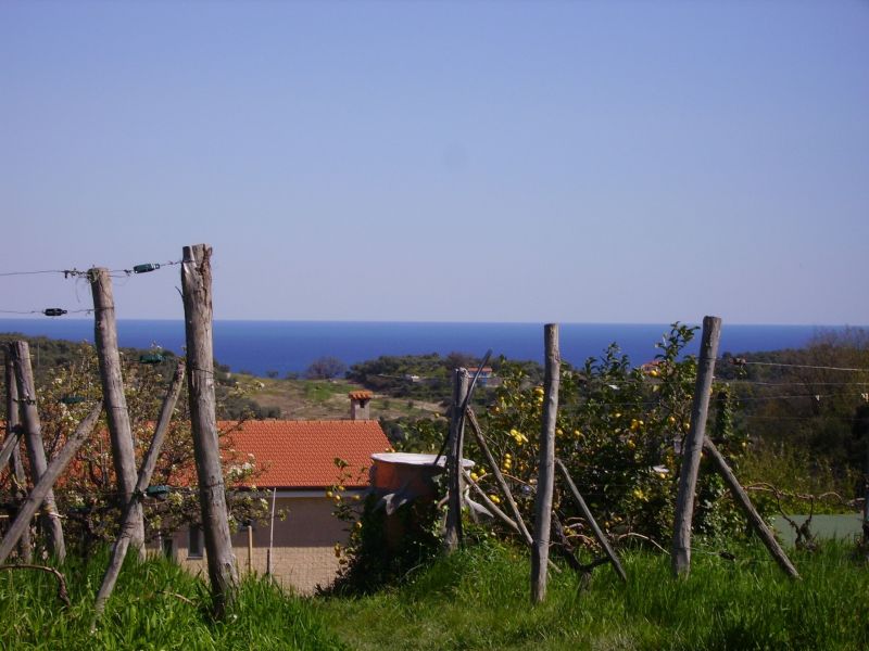 photo 24 Owner direct vacation rental Imperia appartement Liguria Imperia Province Garden