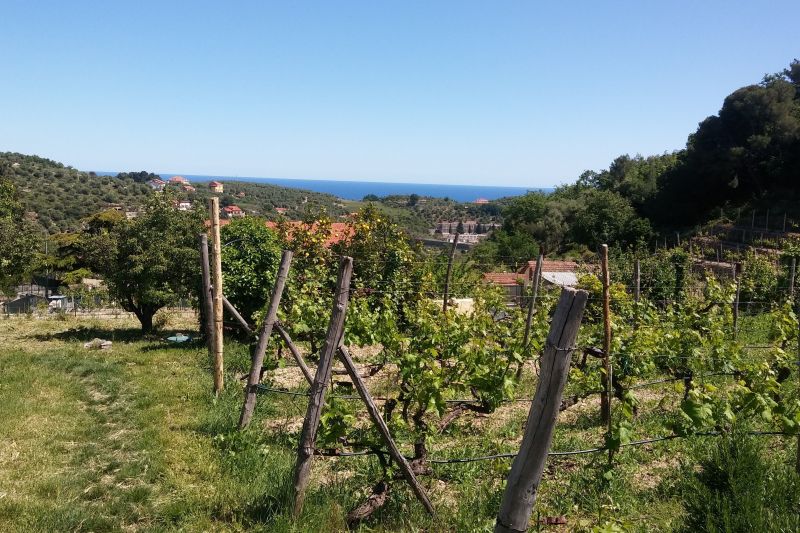 photo 0 Owner direct vacation rental Imperia appartement Liguria Imperia Province View of the property from outside