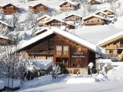 mountain and ski rentals: appartement # 80429