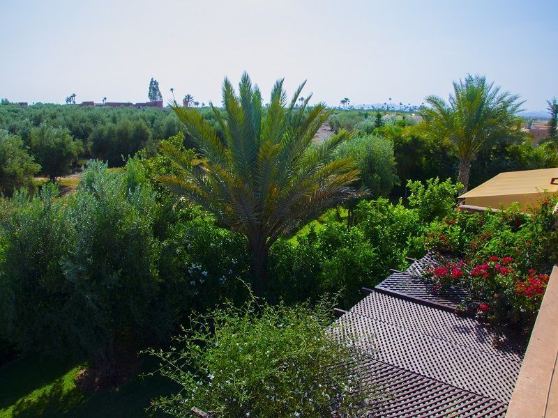 photo 13 Owner direct vacation rental Marrakech villa   View from the terrace