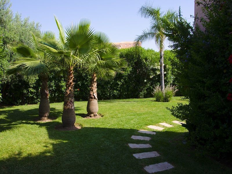 photo 1 Owner direct vacation rental Marrakech villa   Garden