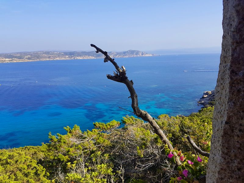 photo 4 Owner direct vacation rental Santa Teresa di Gallura villa Sardinia Olbia Tempio Province View from the terrace