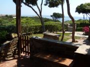 Golfo Dell'Asinara vacation rentals apartments: appartement # 114291