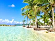 Caribbean beachfront vacation rentals: appartement # 127826