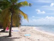 Caribbean beach and seaside rentals: studio # 67258