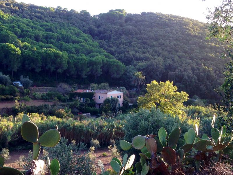 photo 7 Owner direct vacation rental Portoferraio appartement Tuscany Elba Island View of the property from outside