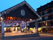 Rhone-Alps vacation rentals for 2 people: studio # 80530