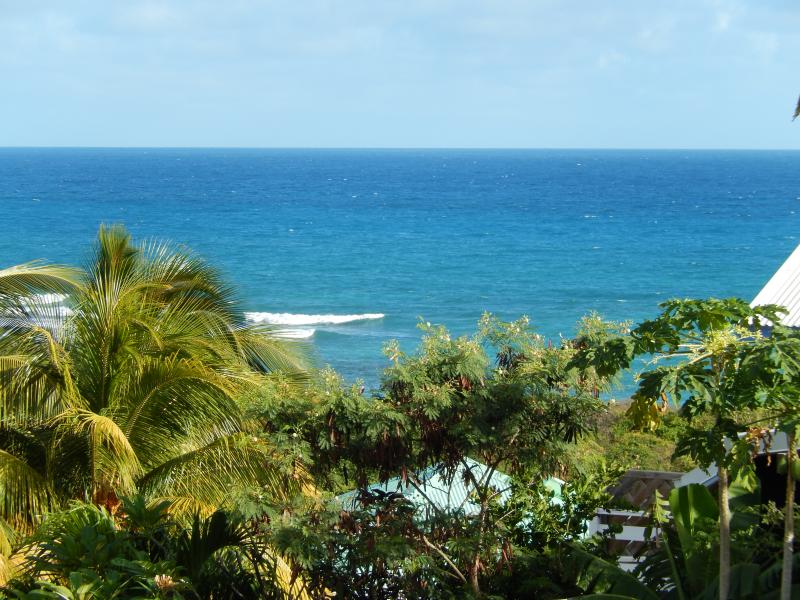 photo 0 Owner direct vacation rental Saint Francois appartement Grande Terre  View from the terrace