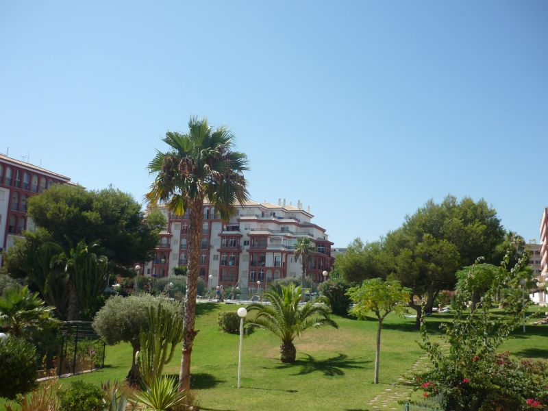 photo 27 Owner direct vacation rental Torrevieja appartement Valencian Community Alicante (province of) Garden