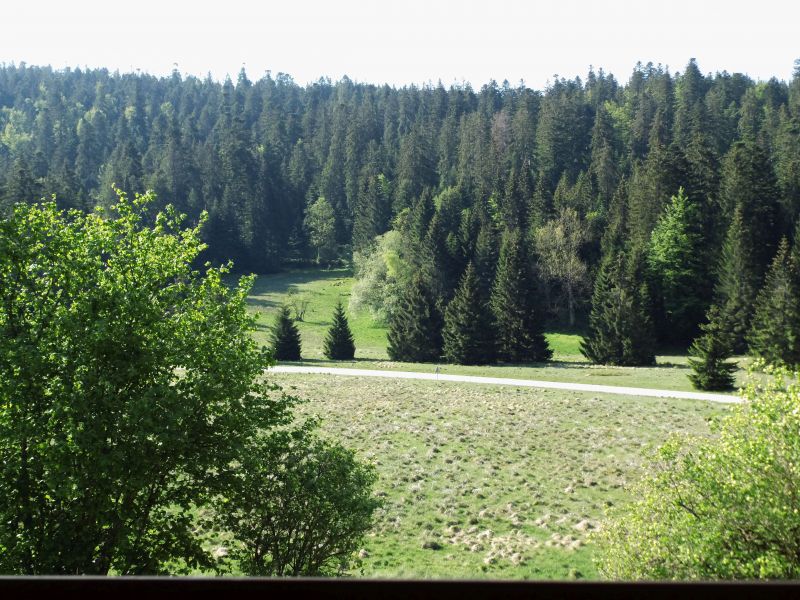 photo 20 Owner direct vacation rental Grardmer gite Lorraine Vosges View from the balcony