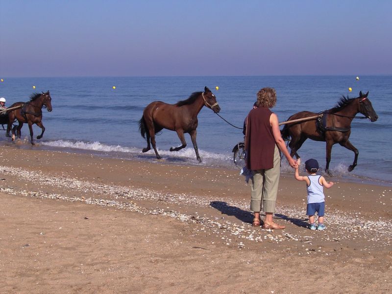 photo 13 Owner direct vacation rental Cabourg appartement Basse-Normandie Calvados Beach