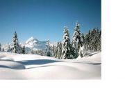 Northern Alps vacation rentals for 4 people: studio # 1124
