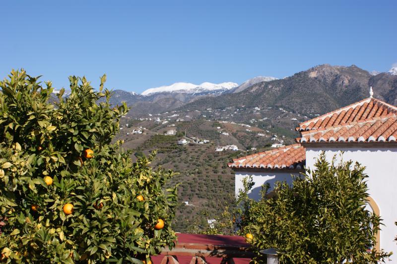 photo 22 Owner direct vacation rental Nerja villa Andalucia Mlaga (province of) Garden