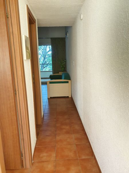 photo 15 Owner direct vacation rental Bravone appartement Corsica Corsica