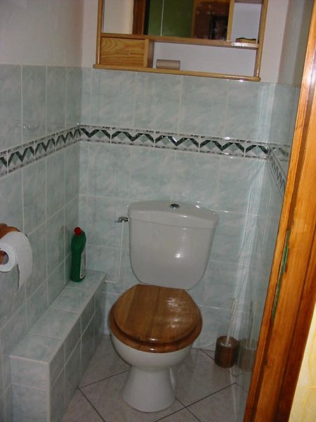 photo 9 Owner direct vacation rental Les 2 Alpes appartement Rhone-Alps Isre Bathroom w/toilet only