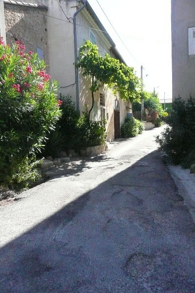 photo 17 Owner direct vacation rental Les Baux de Provence gite Provence-Alpes-Cte d'Azur Bouches du Rhne Surroundings