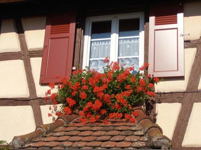 photo 4 Owner direct vacation rental Colmar gite Alsace Haut-Rhin