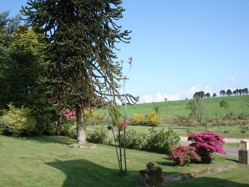 photo 13 Owner direct vacation rental Douarnenez maison Brittany Finistre Garden