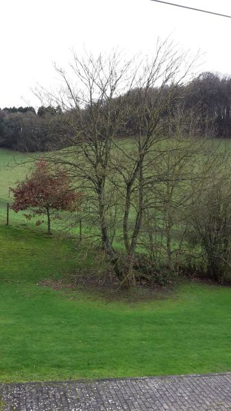 photo 19 Owner direct vacation rental Chimay gite Hainaut  View from the terrace