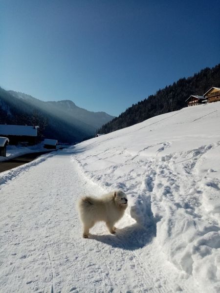 photo 17 Owner direct vacation rental Le Grand Bornand appartement Rhone-Alps Haute-Savoie View from the property