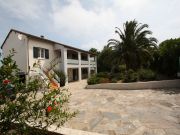 Corsica vacation rentals apartments: appartement # 1377