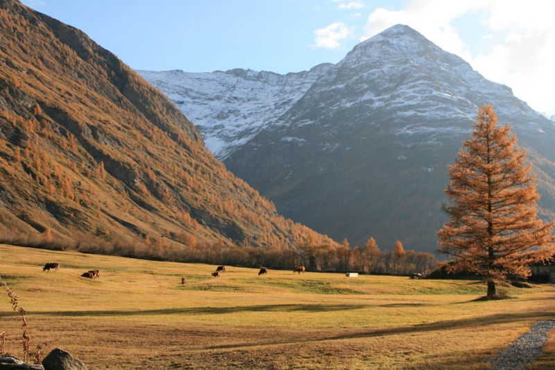 photo 16 Owner direct vacation rental Val Cenis appartement Rhone-Alps Savoie Other view