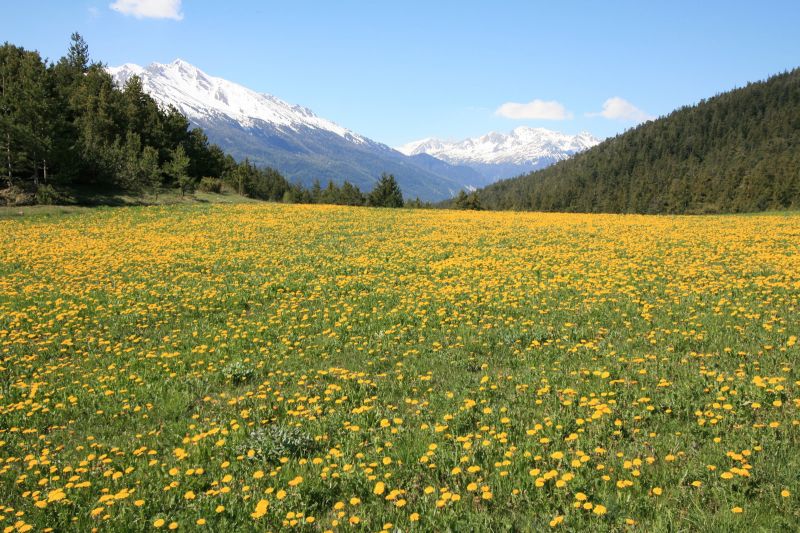 photo 18 Owner direct vacation rental Val Cenis appartement Rhone-Alps Savoie Surroundings