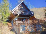 mountain and ski rentals: chalet # 14816