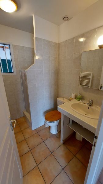 photo 12 Owner direct vacation rental Le Bois-Plage-en-R maison Poitou-Charentes Charente-Maritime Half bath