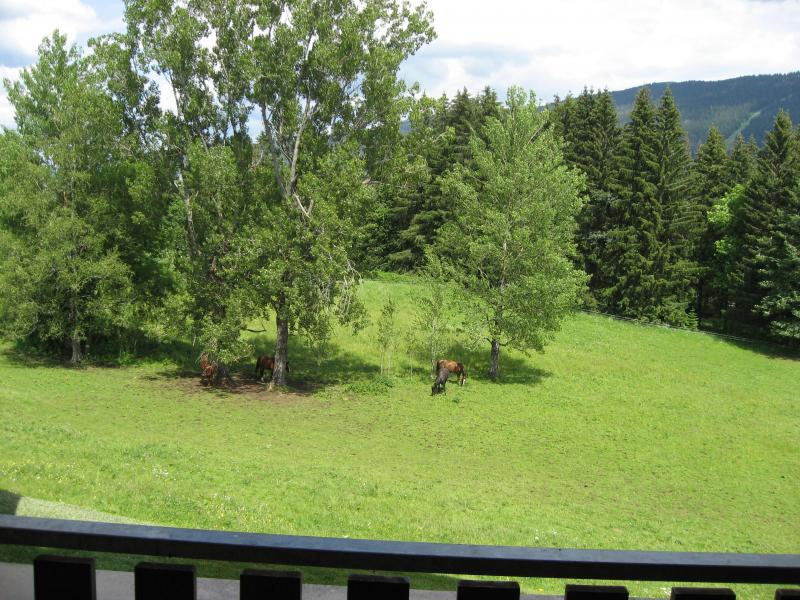 photo 4 Owner direct vacation rental Les Rousses appartement Franche-Comt Jura View from the balcony
