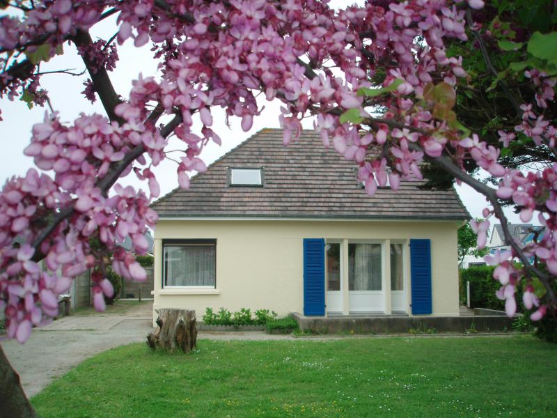 photo 3 Owner direct vacation rental Agon-Coutainville villa Basse-Normandie Manche Garden