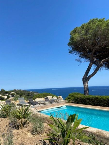 photo 22 Owner direct vacation rental Sainte Maxime villa Provence-Alpes-Cte d'Azur Var Swimming pool