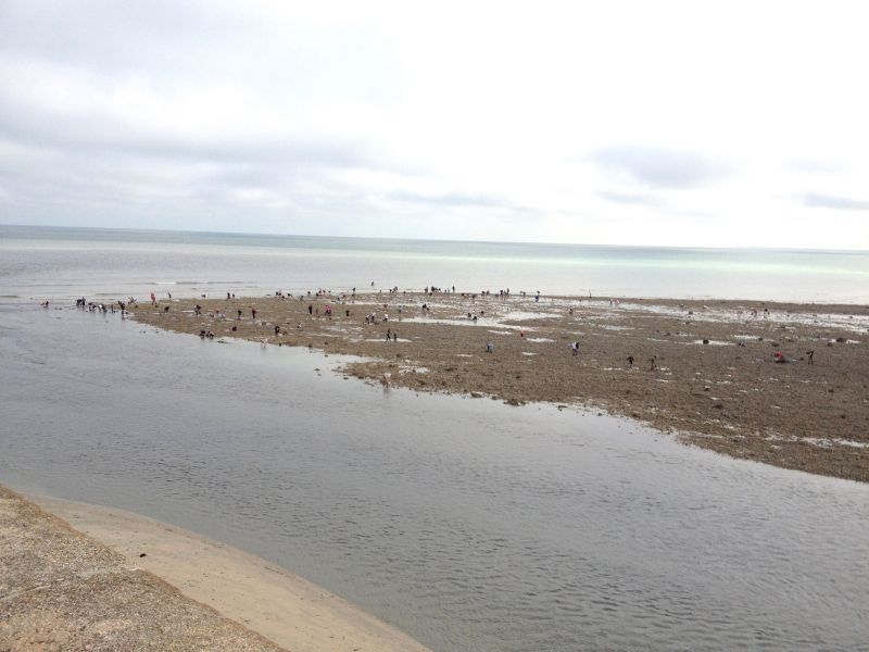 photo 19 Owner direct vacation rental Le Trport maison Normandy (Haute-Normandie) Seine-Maritime Beach