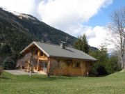vacation rentals mountain chalets: chalet # 17282